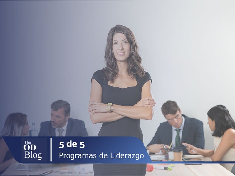 DI01-BLOGTHEODC-PORQUE-EL-MUNDO-EMPRESARIAL-DEBE-RECURRIR-A-UN-PROGRAMA-DE-LIDERAZGO