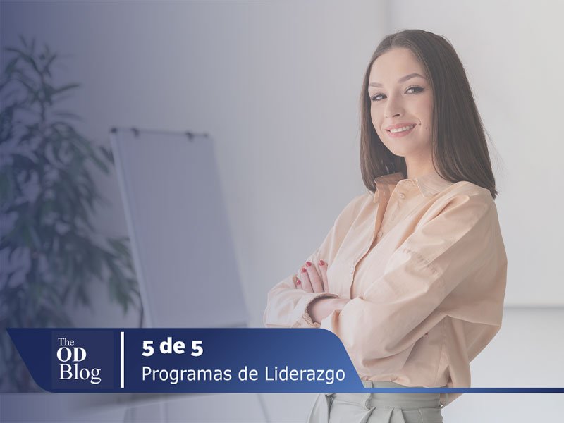 NO02-BLOG-THEODC-PROGRAMA-DE-LIDERAZGO-PARA-MUJERES-EN-EL-ÁMBITO-EMPRESARIAL