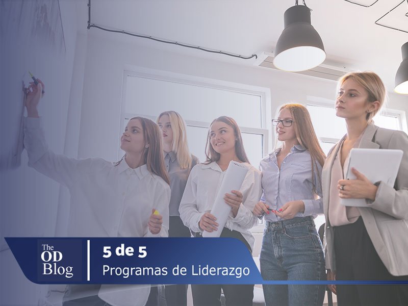 liderazgo empresarial the odcg