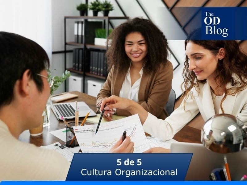 cultura organizacional